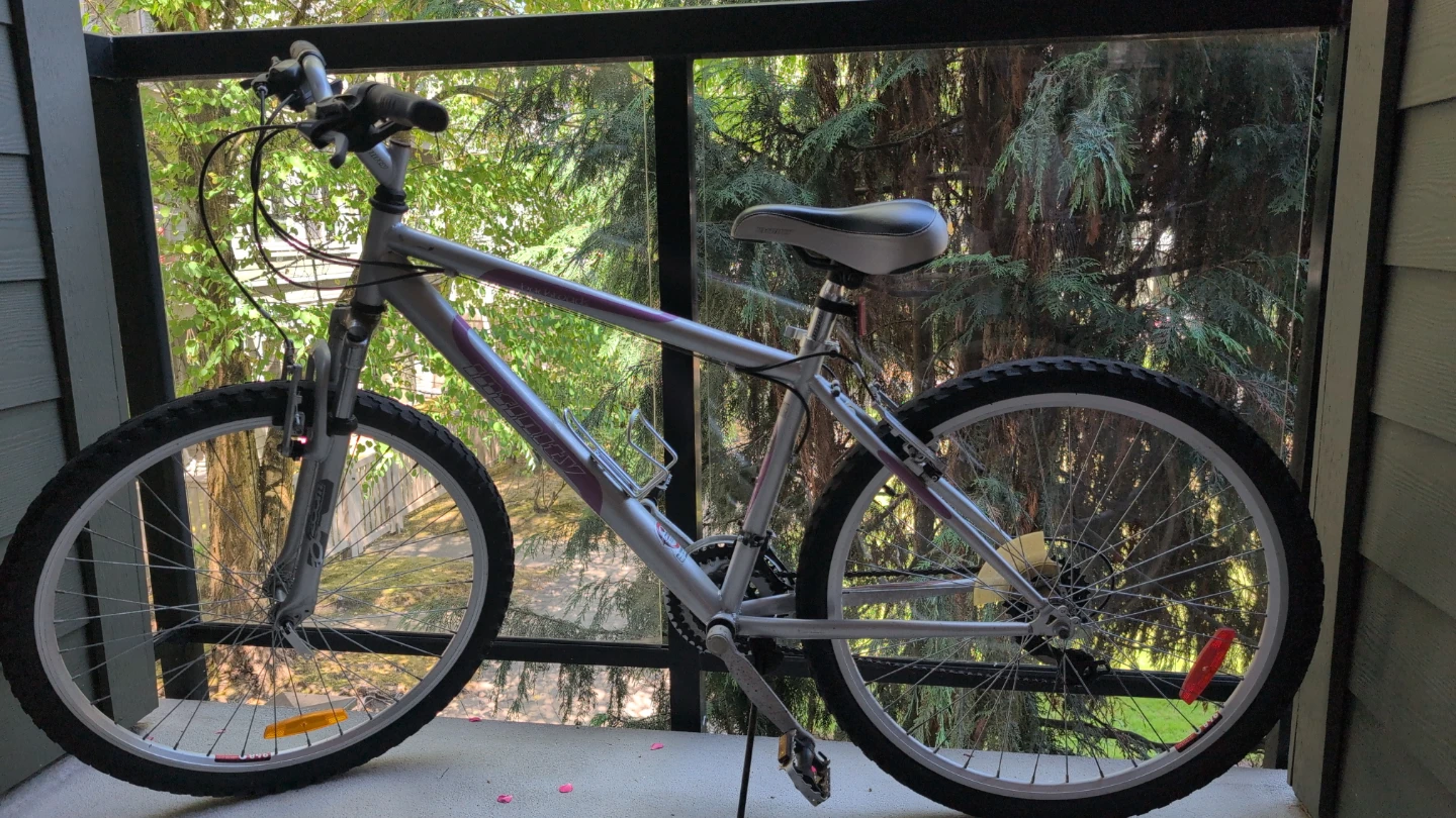 Infinity Mountain Bike