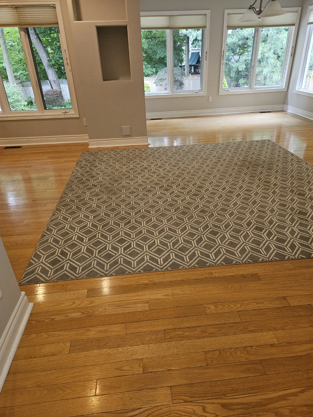 Area rug
