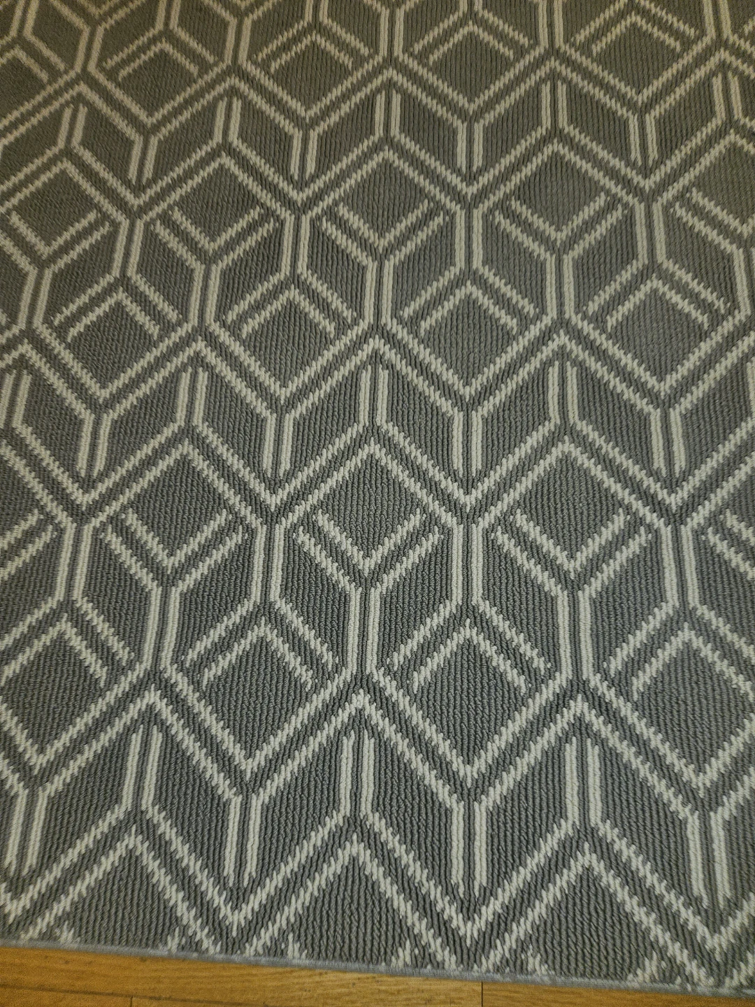 Area rug - photo 2
