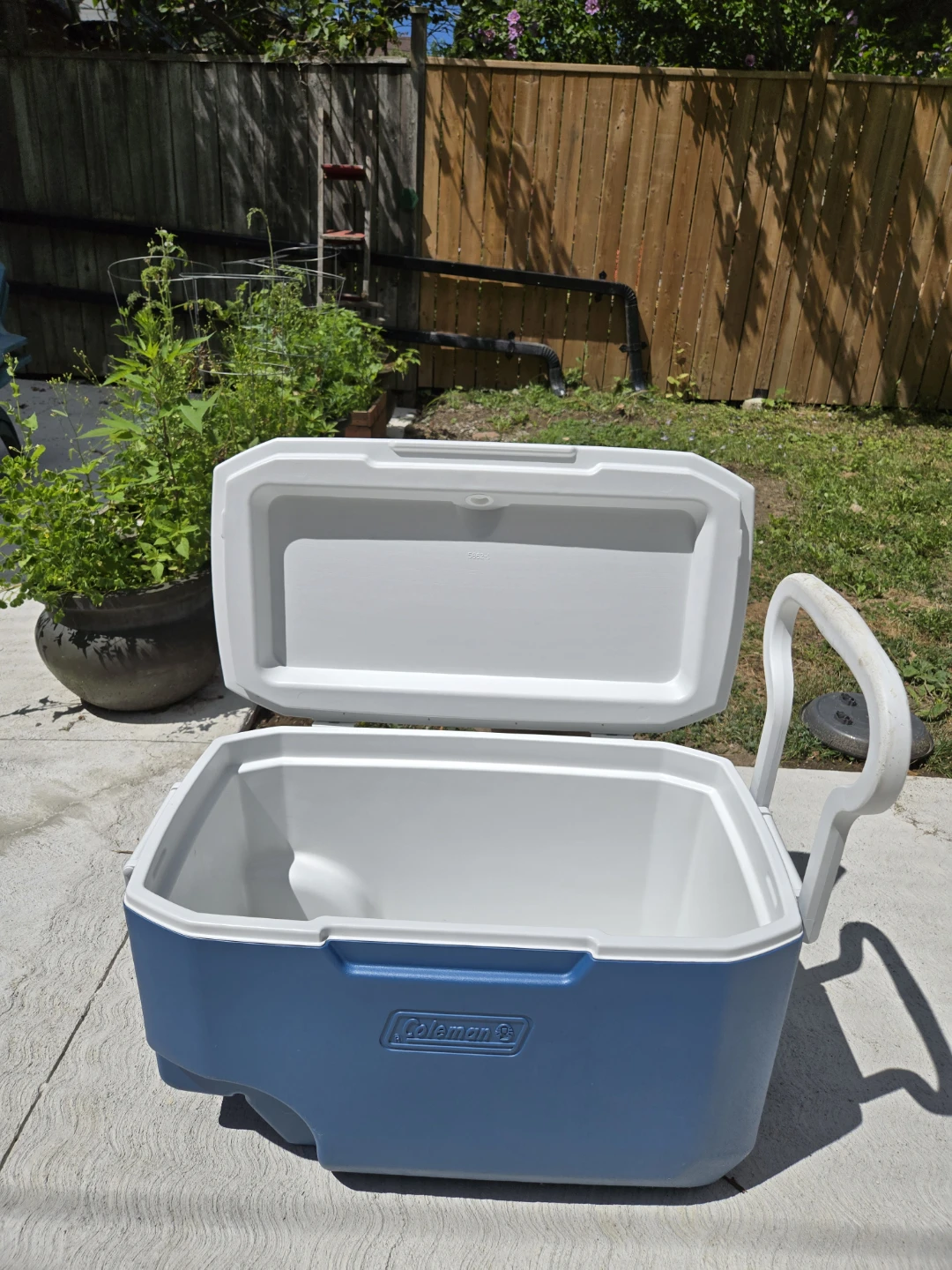 ~ COOLER for sale: iceee collld! ~