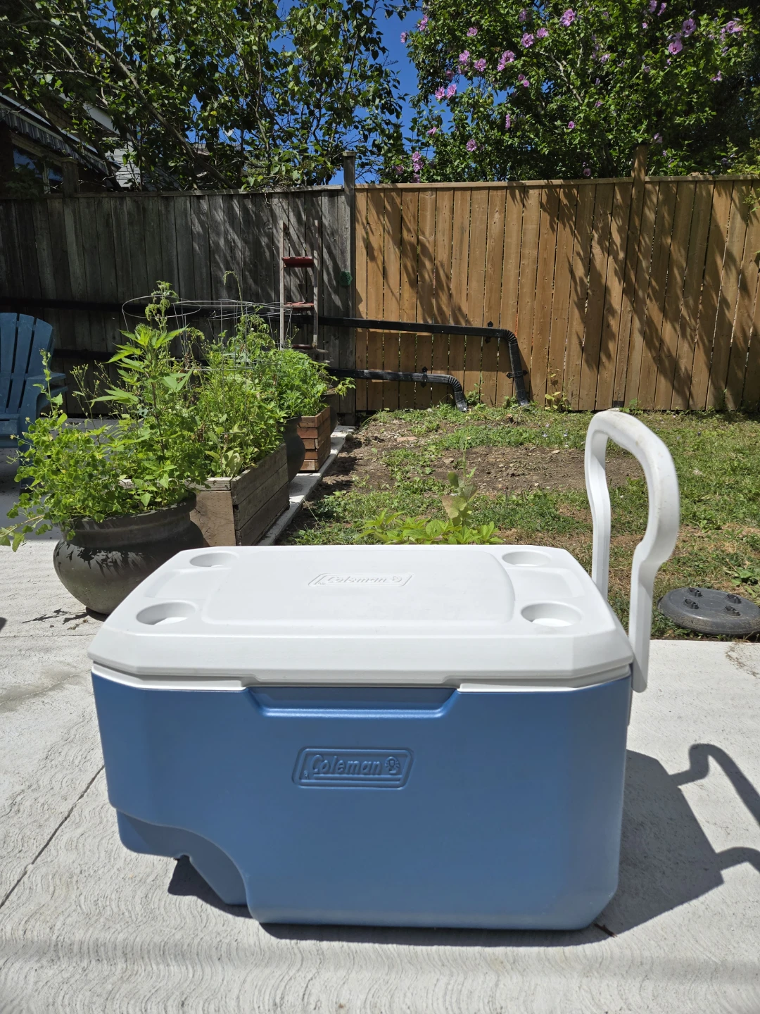 ~ COOLER for sale: iceee collld! ~ - photo 2