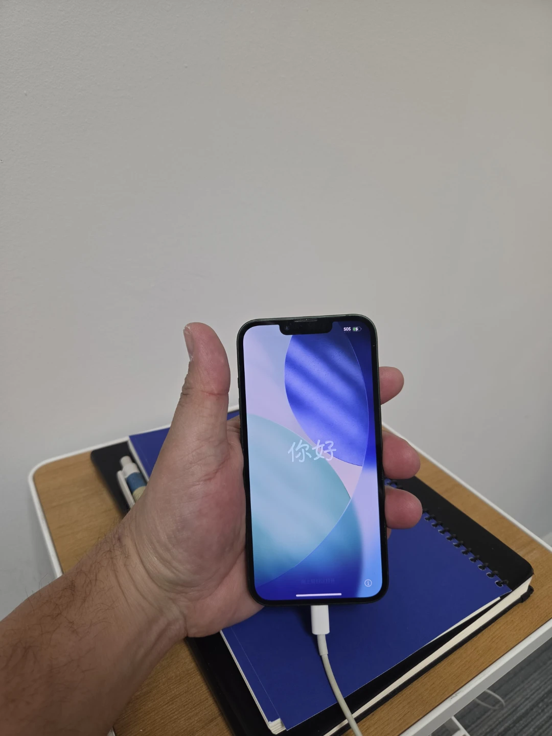 Apple iPhone 13 - Green