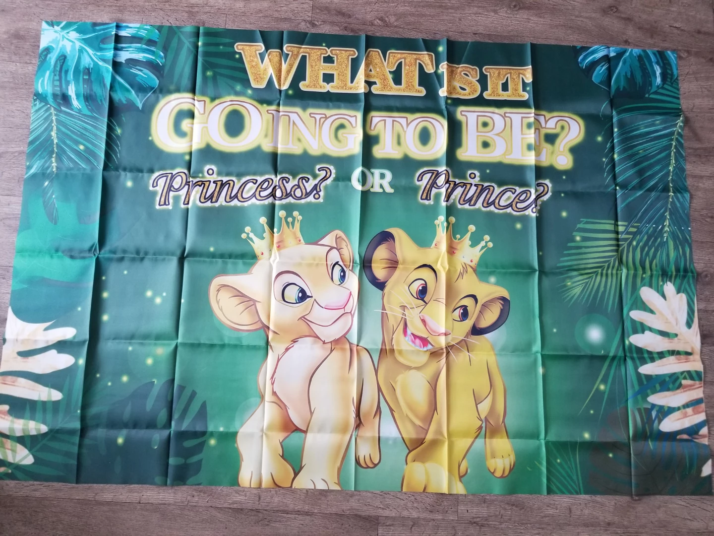 Lion King "What Will It Be? Princess or Prince?"