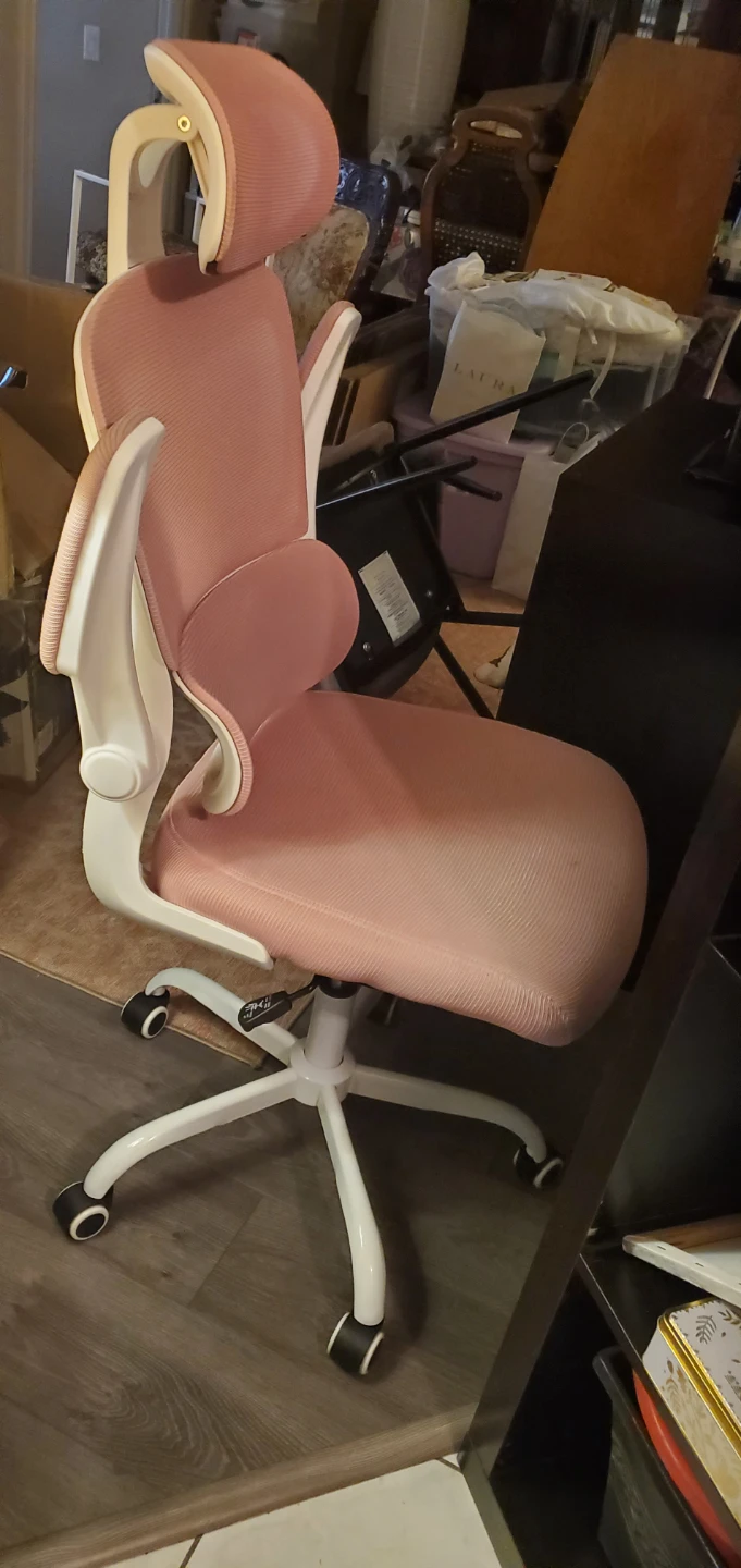 Ergonomic Office Chair - Pink Mesh