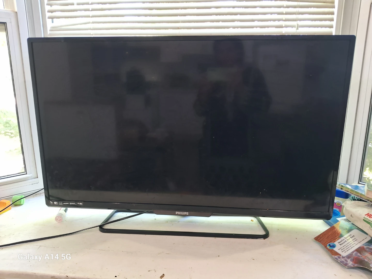 Philips Flat Screen TV