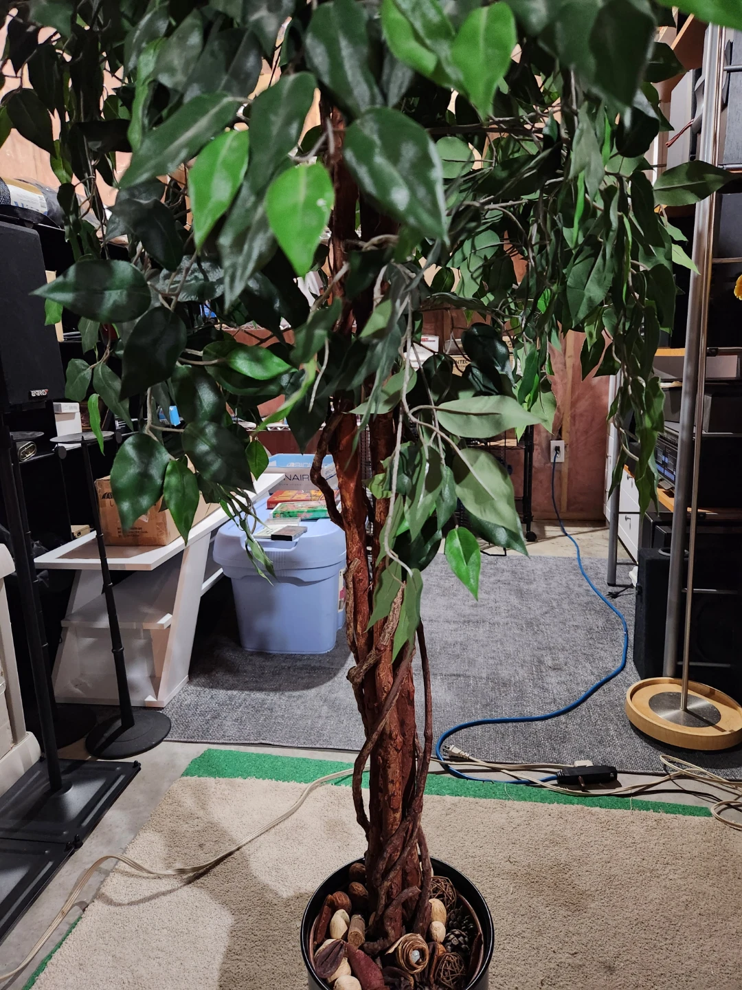 Artificial Ficus Tree - photo 4