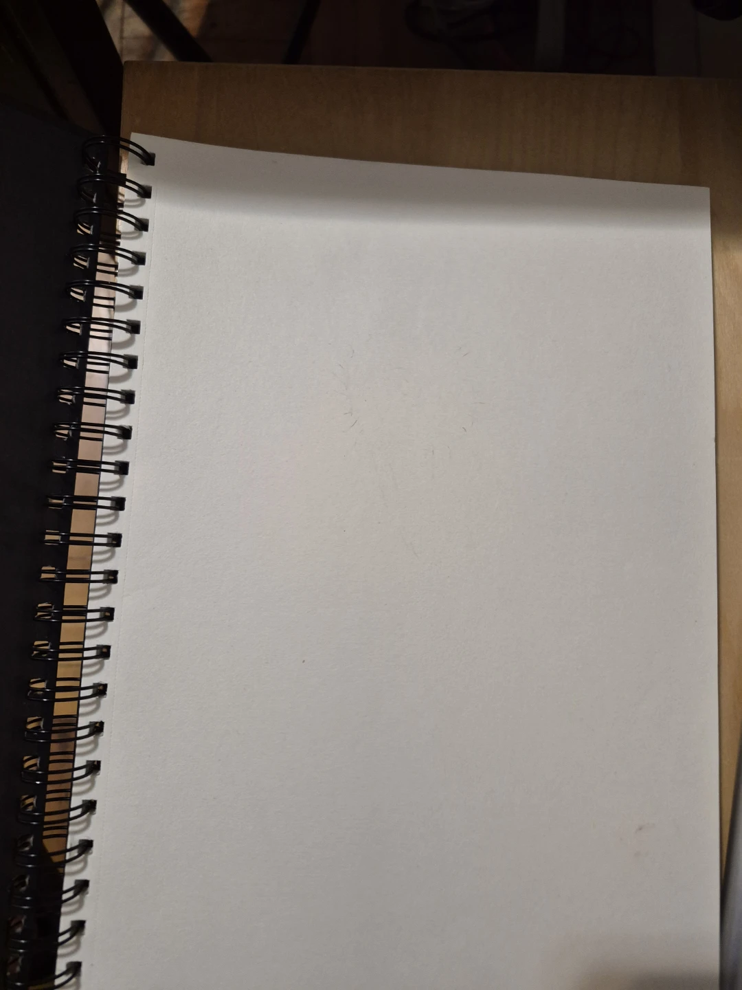 Spiral Bound Sketchbook - photo 2