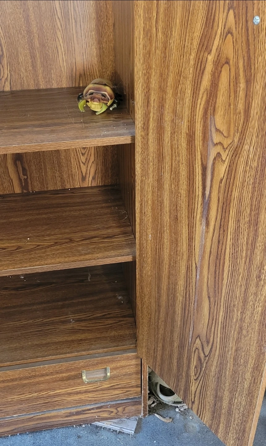 Vintage Wood Grain Cabinet with Drawer - photo 3