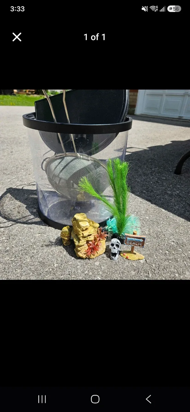 Fish Aquarium with Decorations