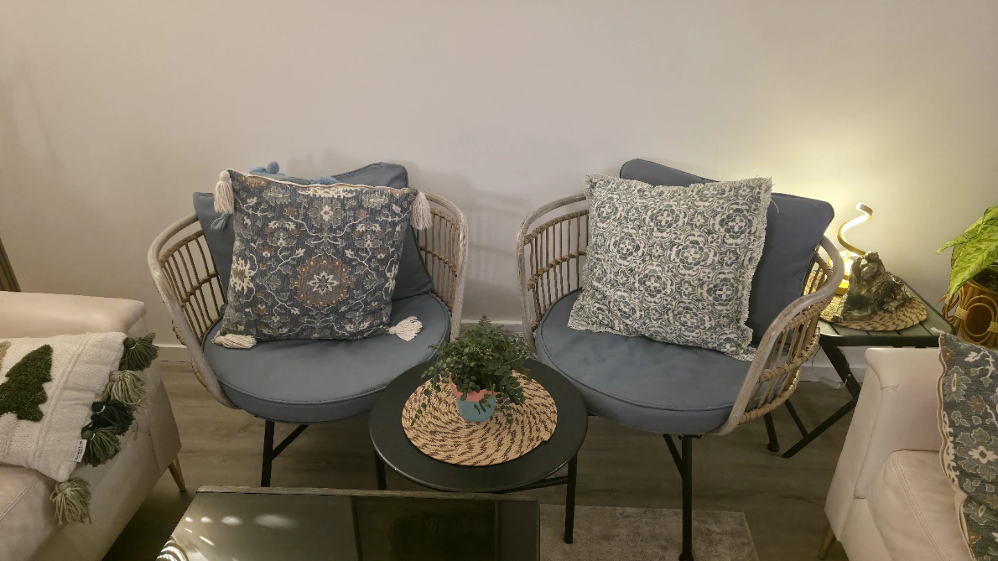 Wicker Accent Chairs with two Cushions