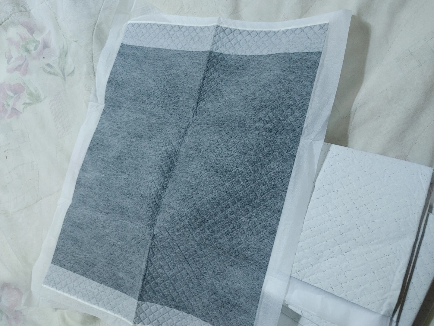 Pet Training Pads - 11 count - photo 2