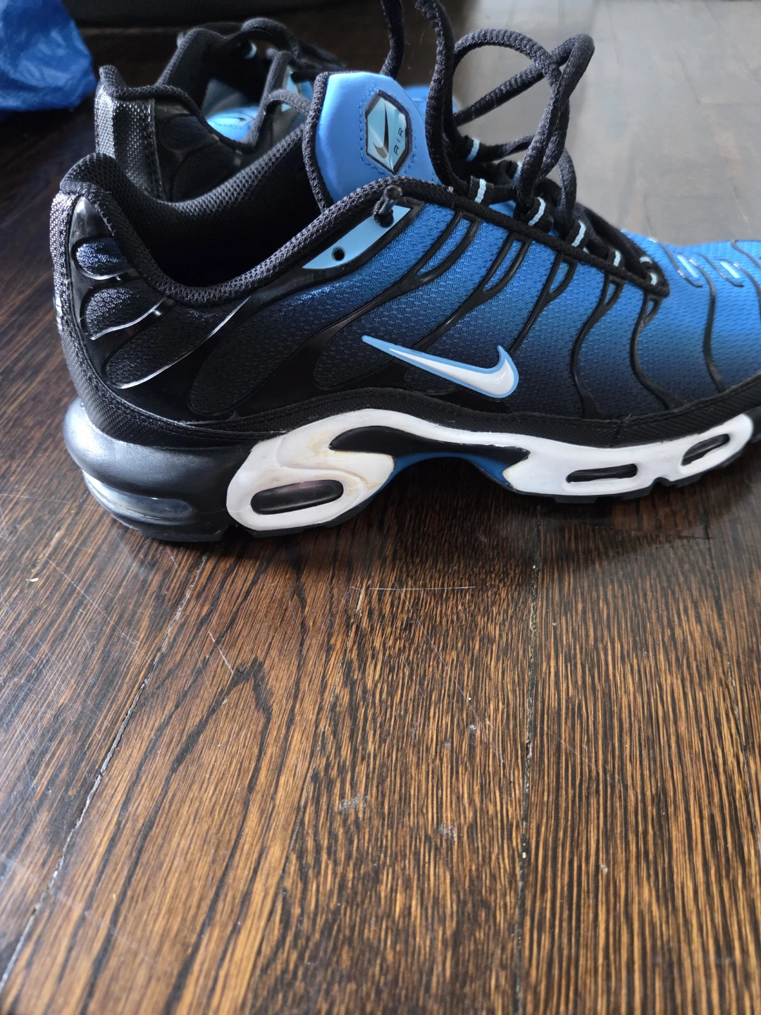 Nike Air Max Plus TN SE Blue Running Shoes - photo 2