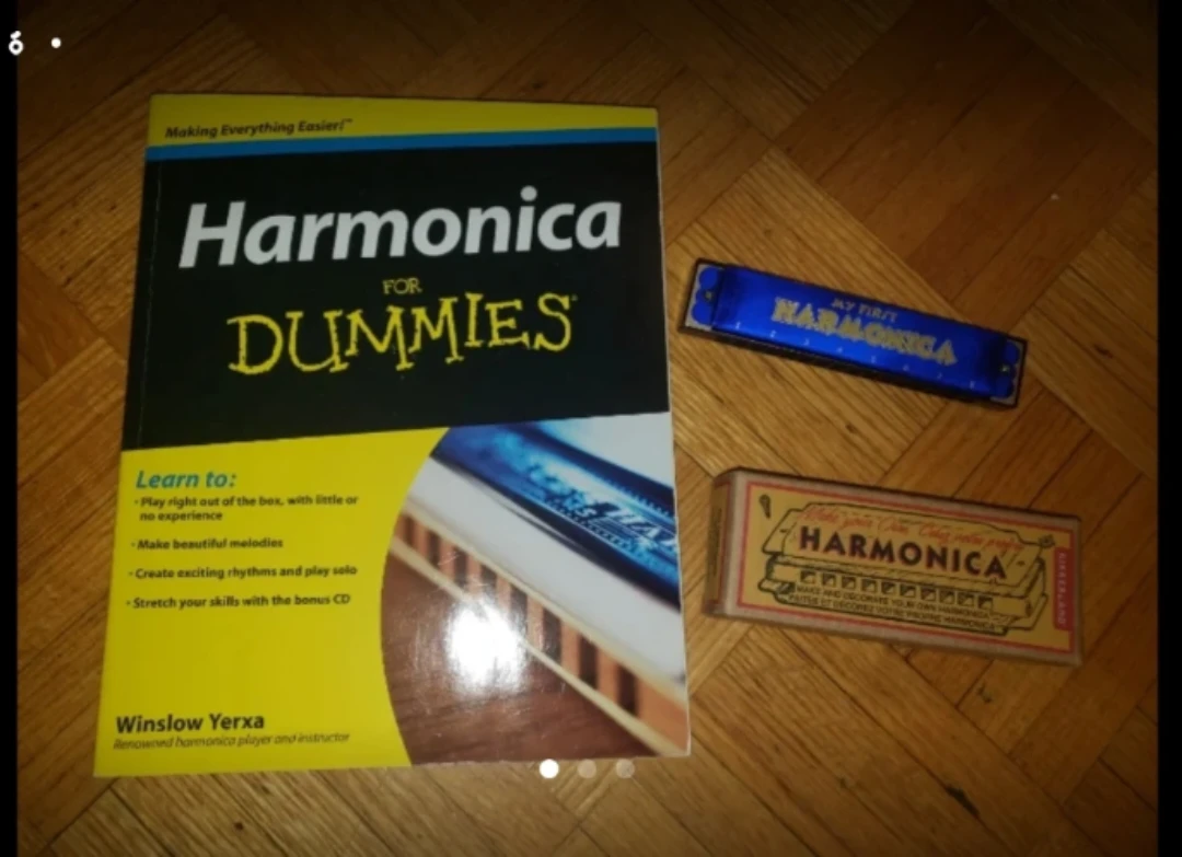 ⚽️Harmonica for Dummies Book and My First Harmonica Set