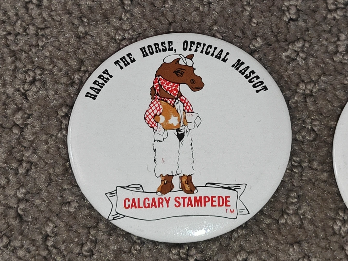 Harry The Horse Calgary Stampede Mascot - Button Pinback Pin - photo 2