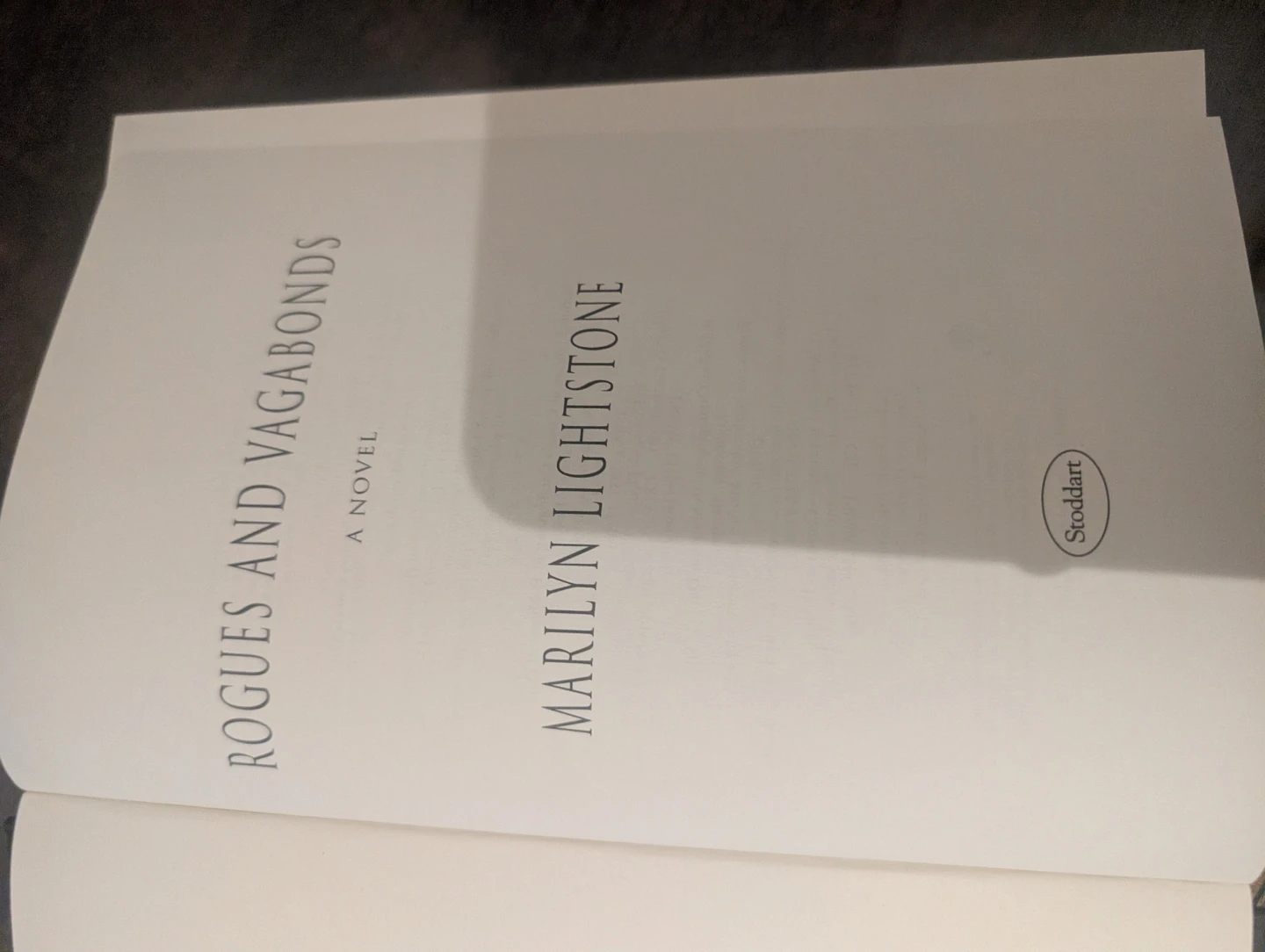 Rogue & Vagabonds by Marilyn Lightstone Novel - photo 3