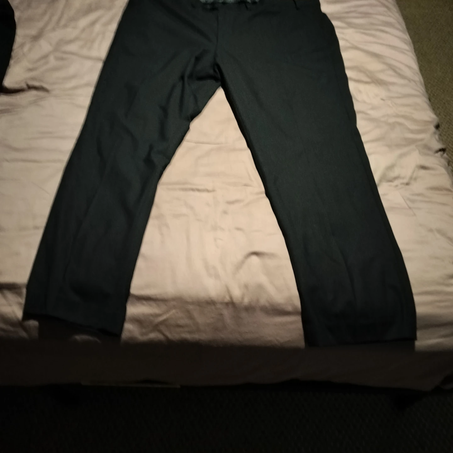 Black dress Pants