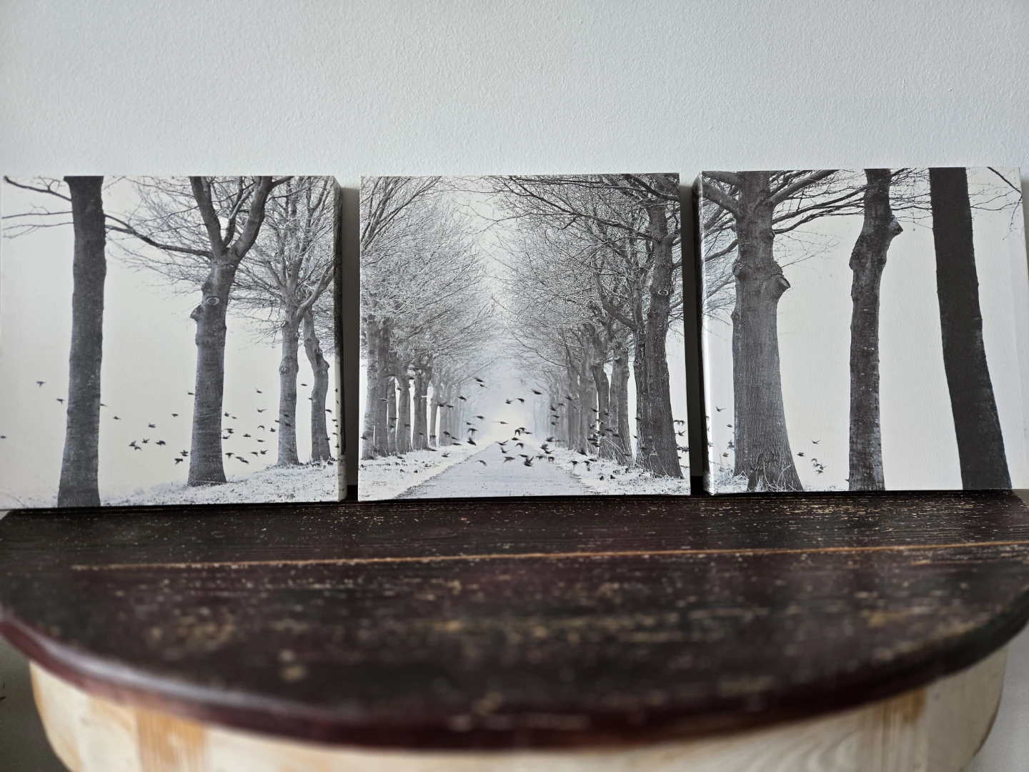 Set of 3 Canvas Wall Art Prints