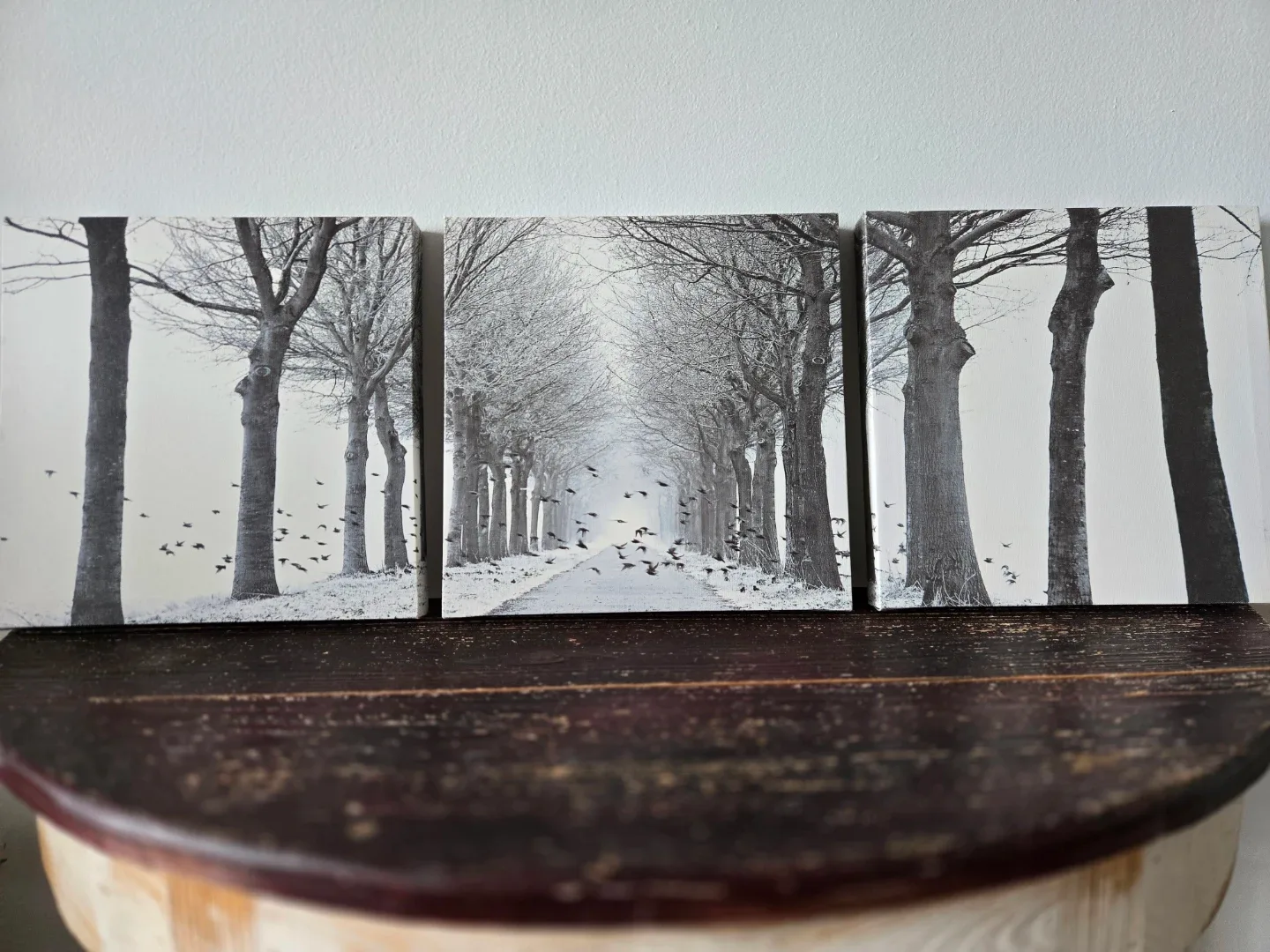 Set of 3 Canvas Wall Art Prints