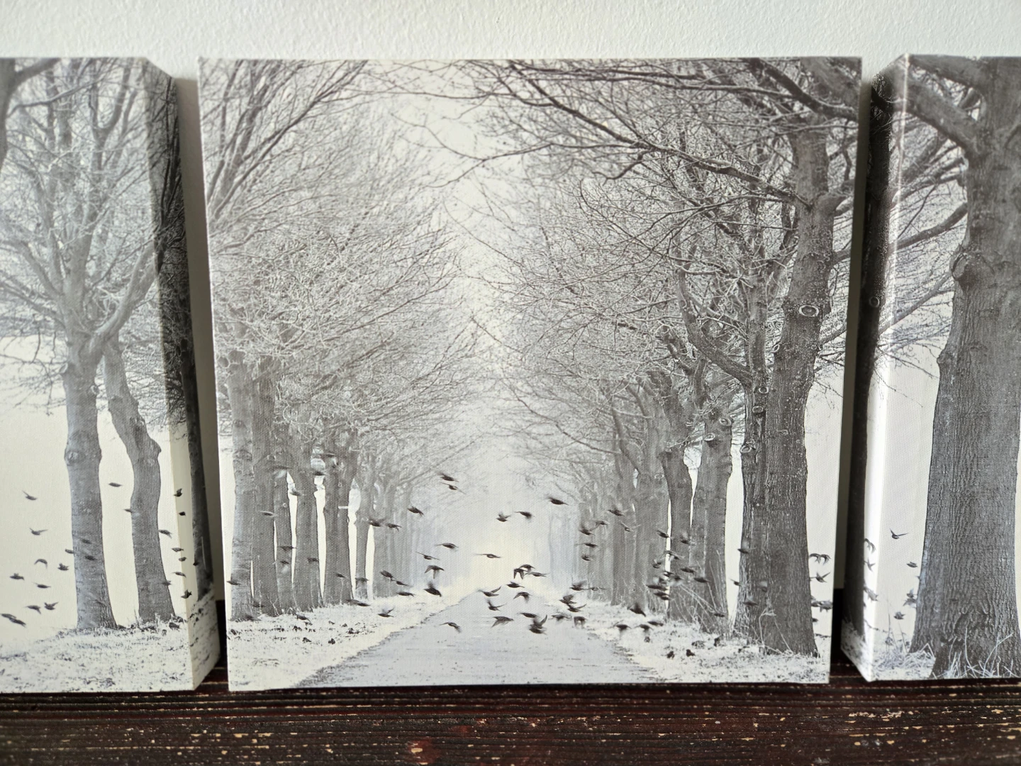 Set of 3 Canvas Wall Art Prints - photo 3