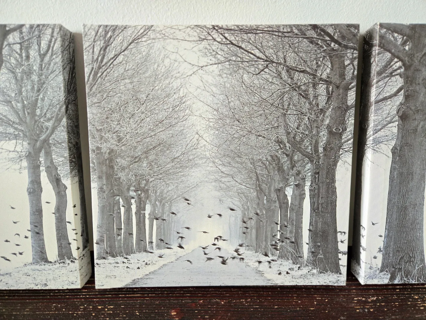 Set of 3 Canvas Wall Art Prints - photo 3