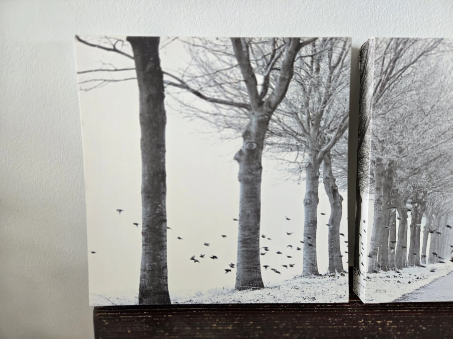 Set of 3 Canvas Wall Art Prints - photo 4