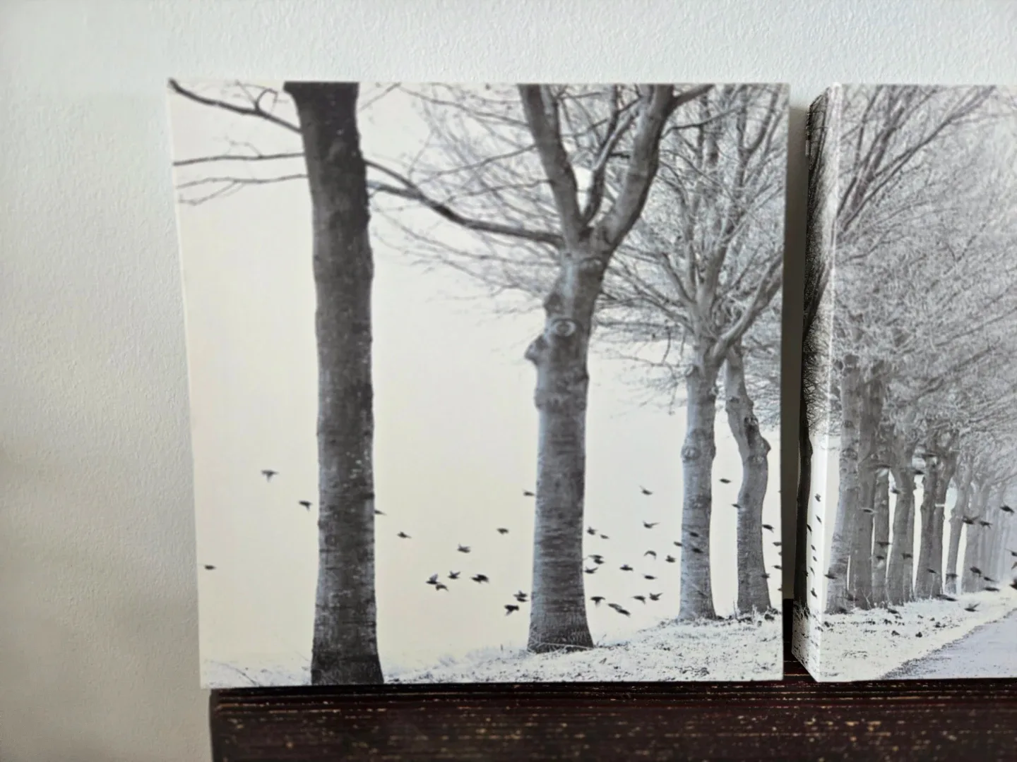 Set of 3 Canvas Wall Art Prints - photo 4