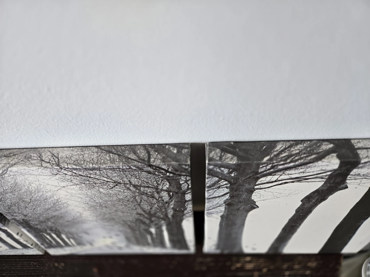 Set of 3 Canvas Wall Art Prints - photo 5