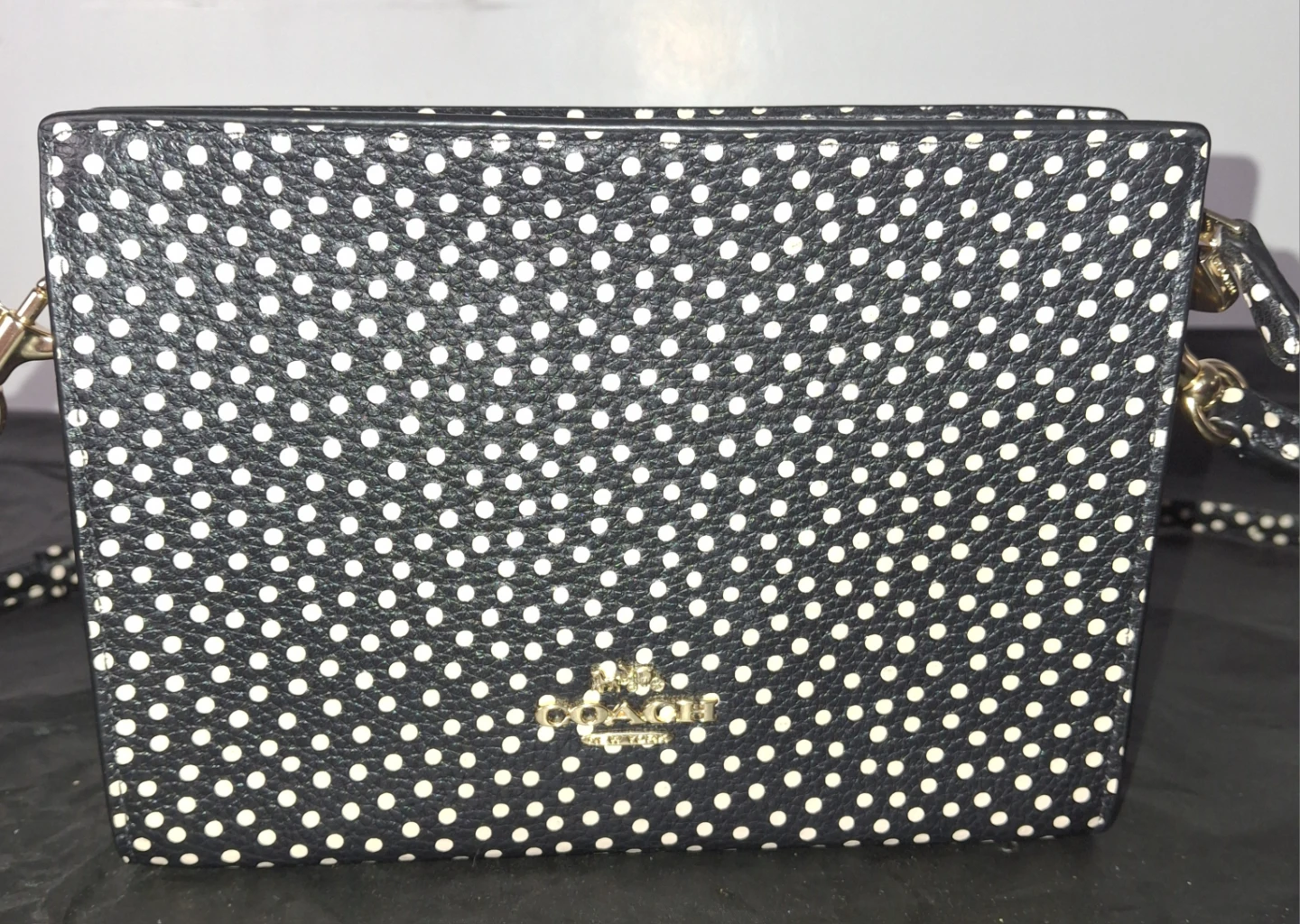 Coach Polka Dot Crossbody Bag