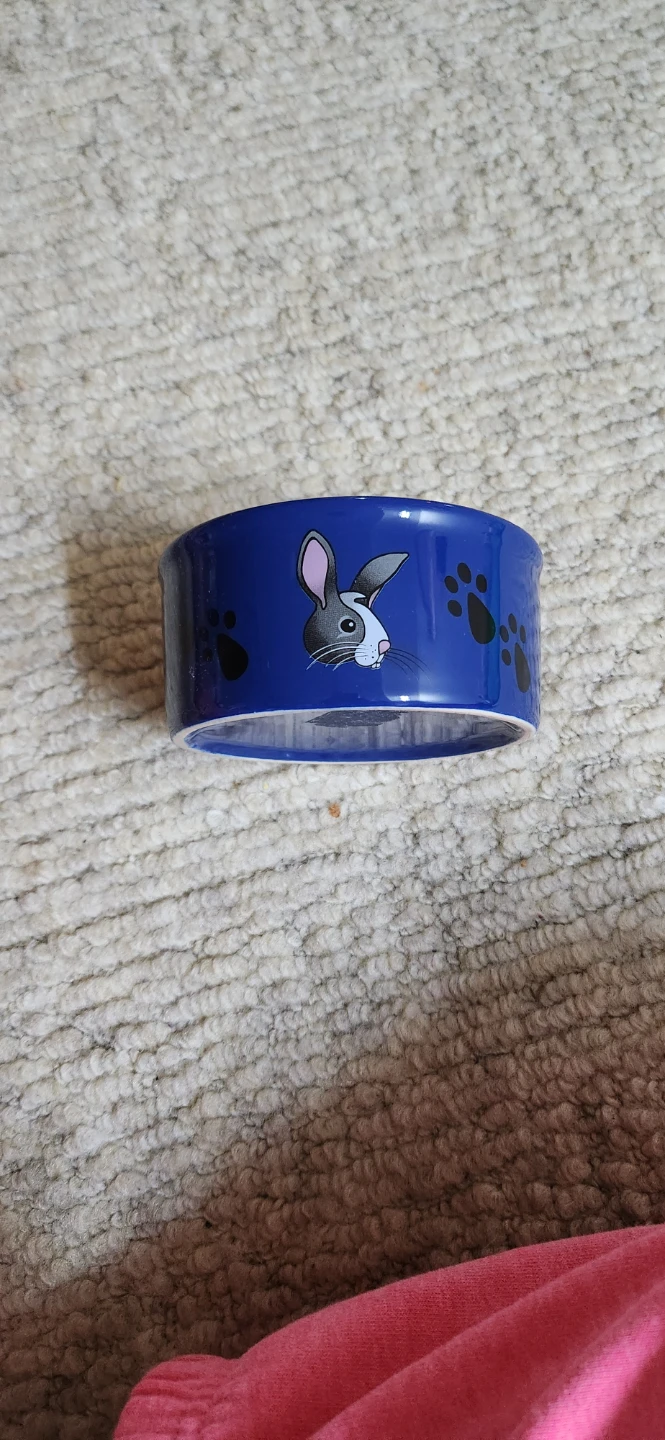 New Blue Pet Bowl and small ceramic bowl