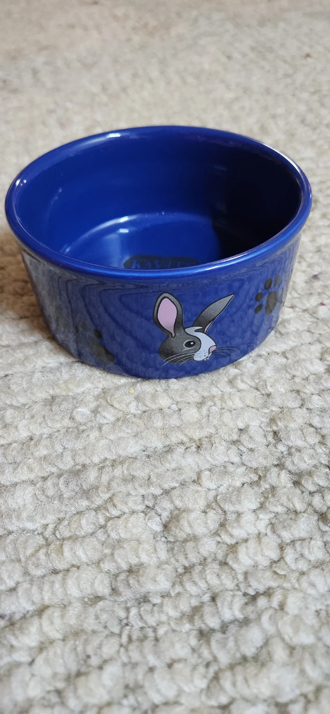 New Blue Pet Bowl and small ceramic bowl - photo 2