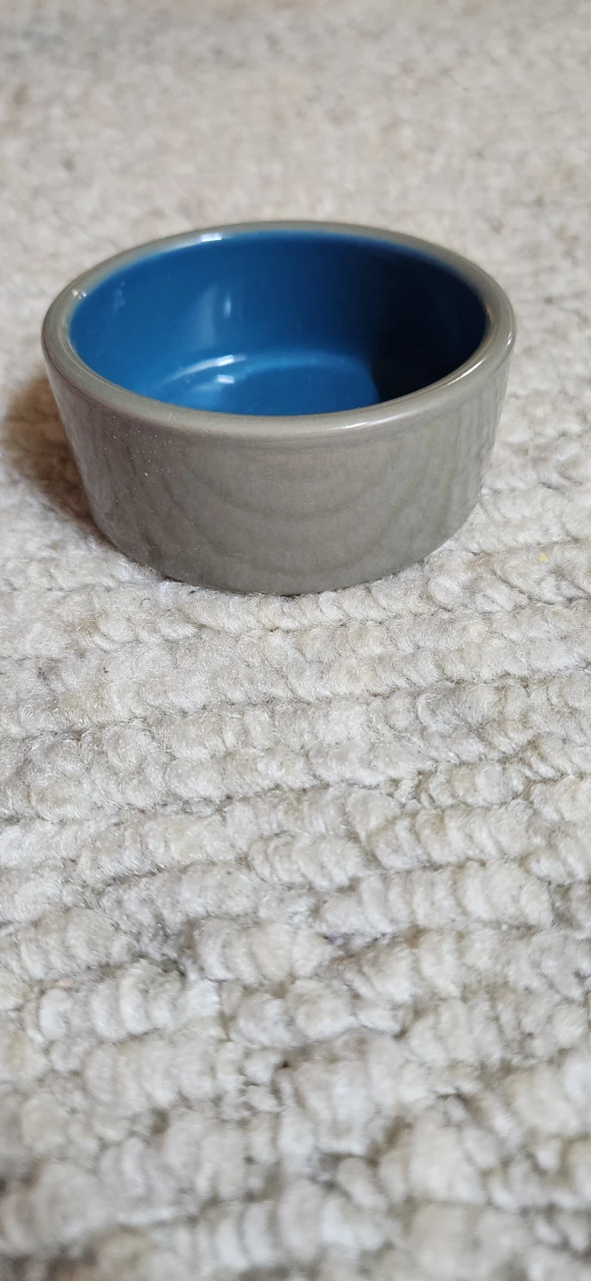 New Blue Pet Bowl and small ceramic bowl - photo 3