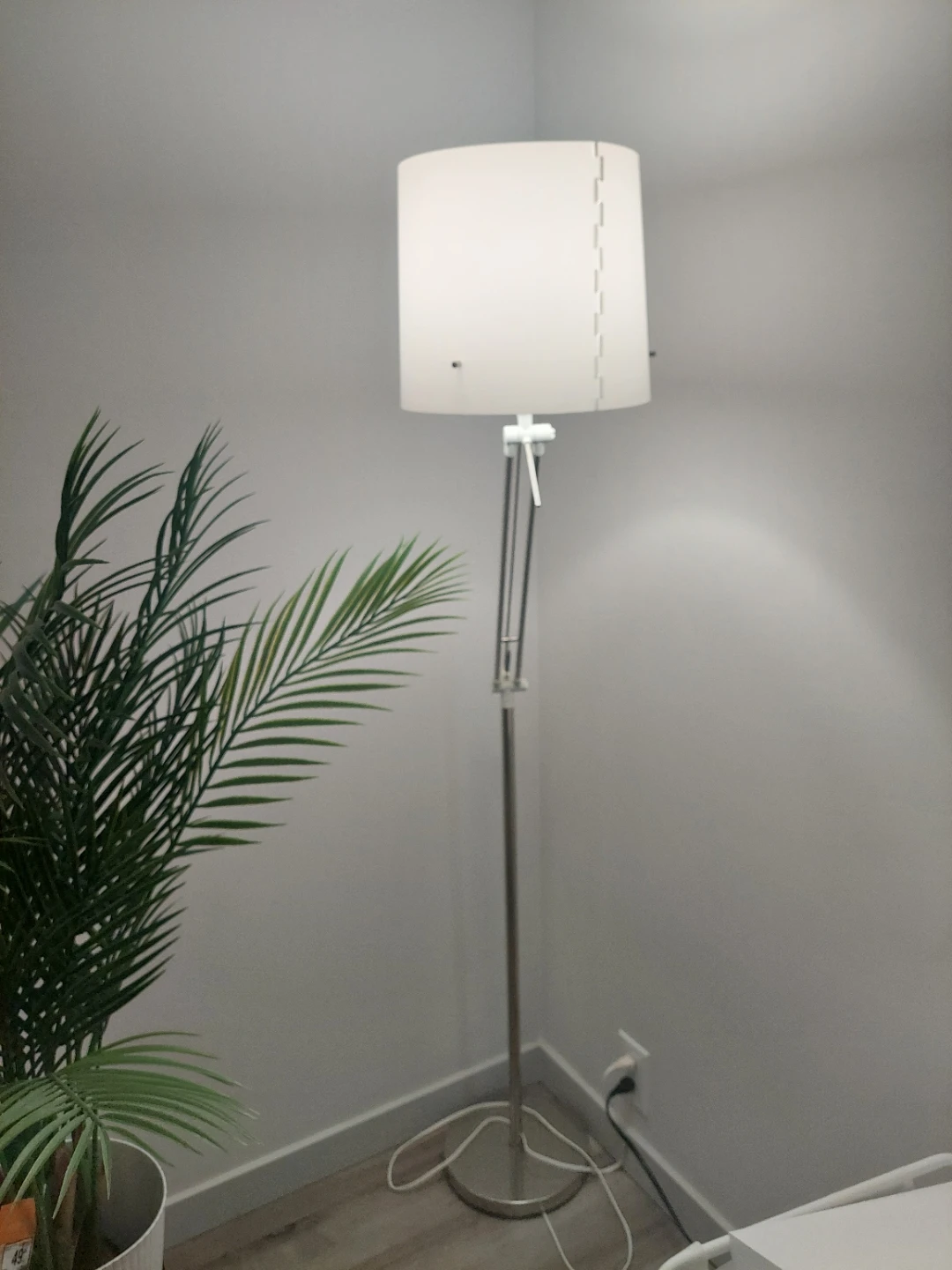Moving Sale - Adjustable Floor Lamp