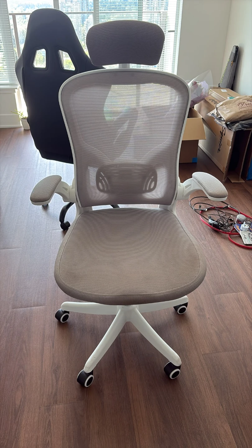 Ergonomic Office Chair with Headrest