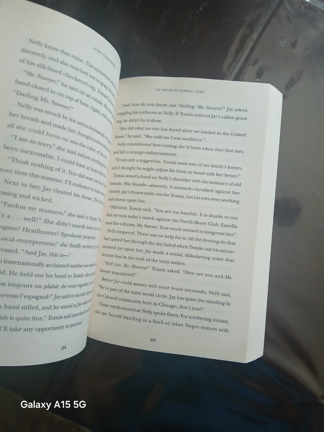 The Mayor of Maxwell Street by Avery Cunningham Novel - photo 2