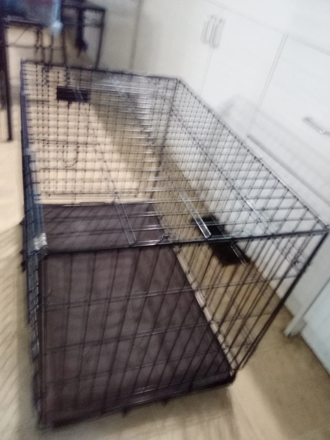 Wire Pet Crate