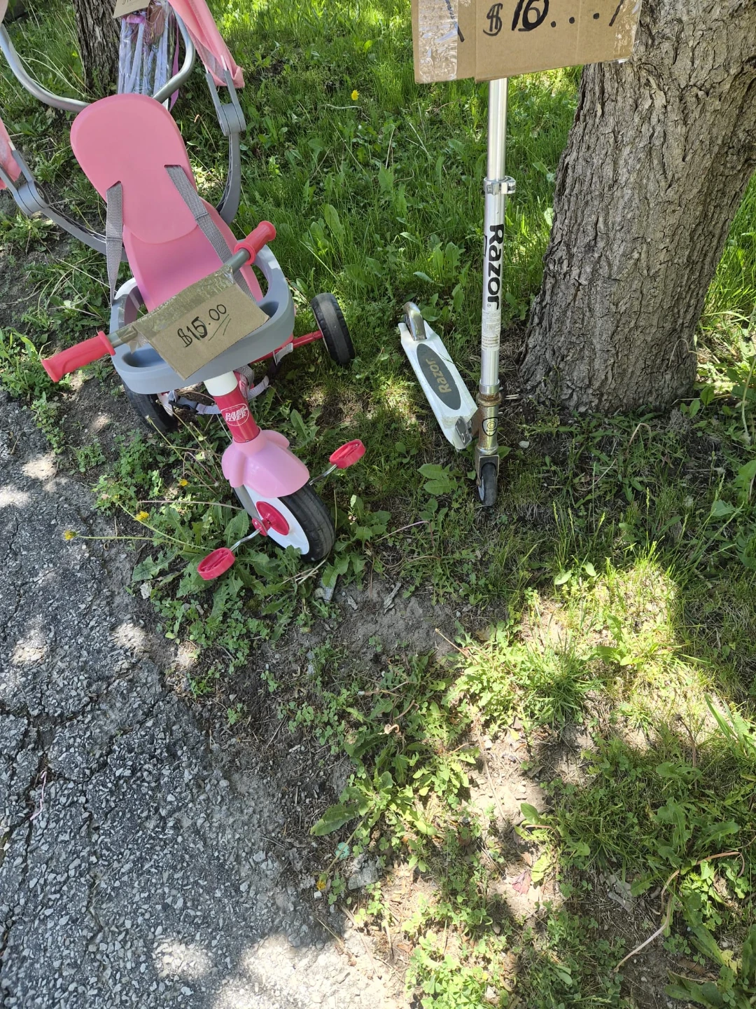 Razor Scooter