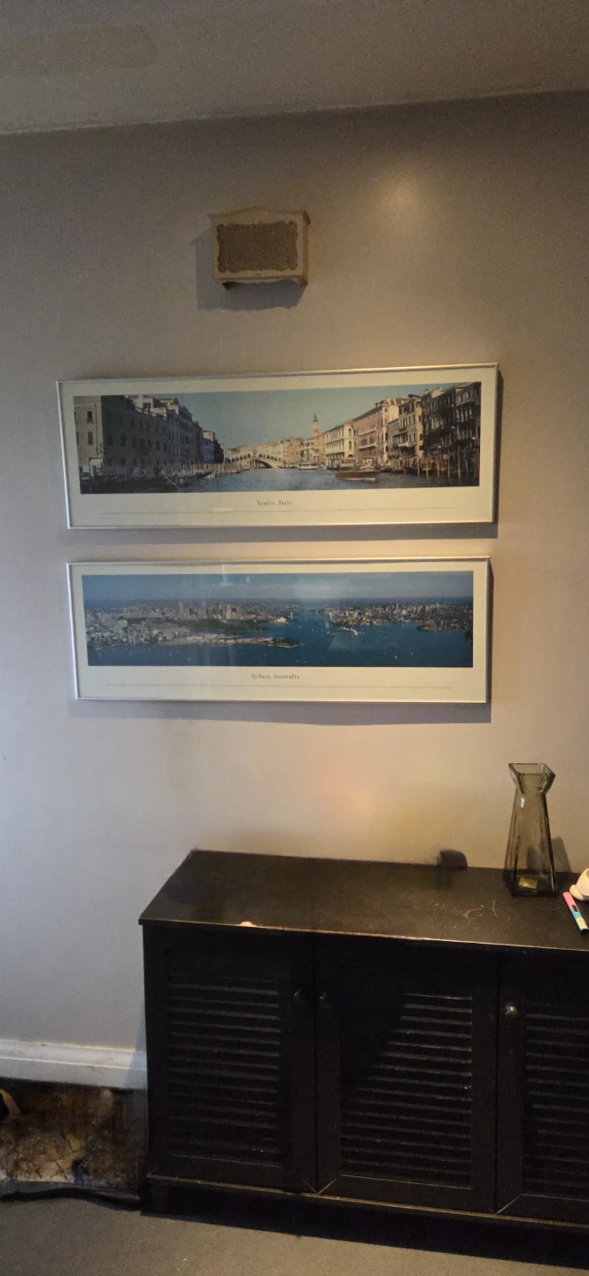 Framed Panoramic Prints of Venice and Sydney
