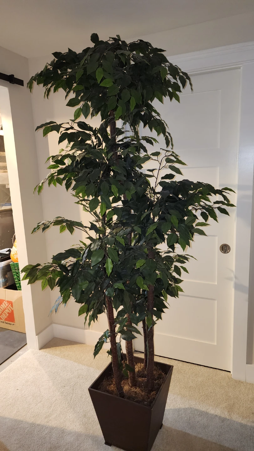 Artificial Ficus Tree - photo 3