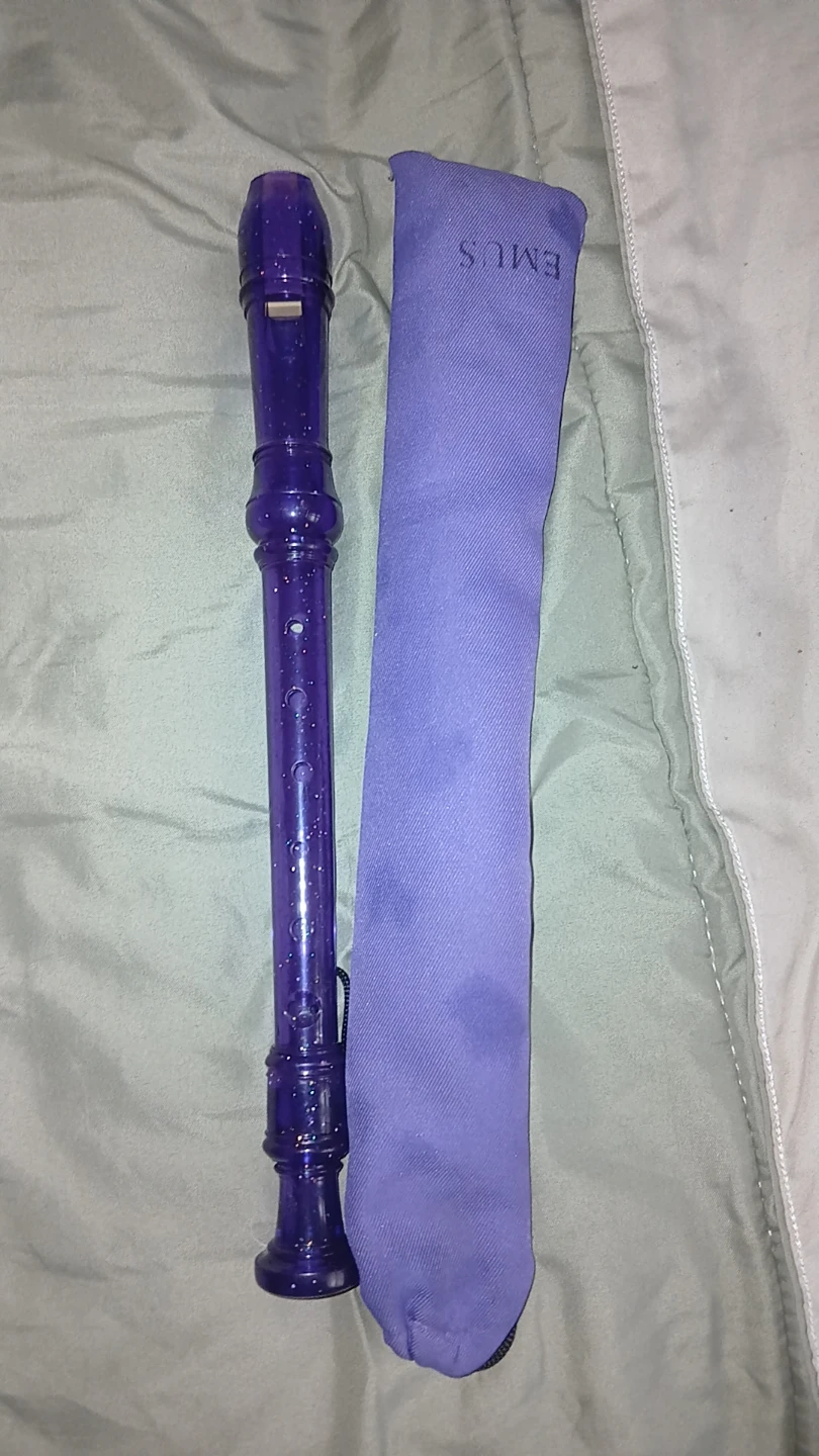 Purple Recorder with EMUS Case