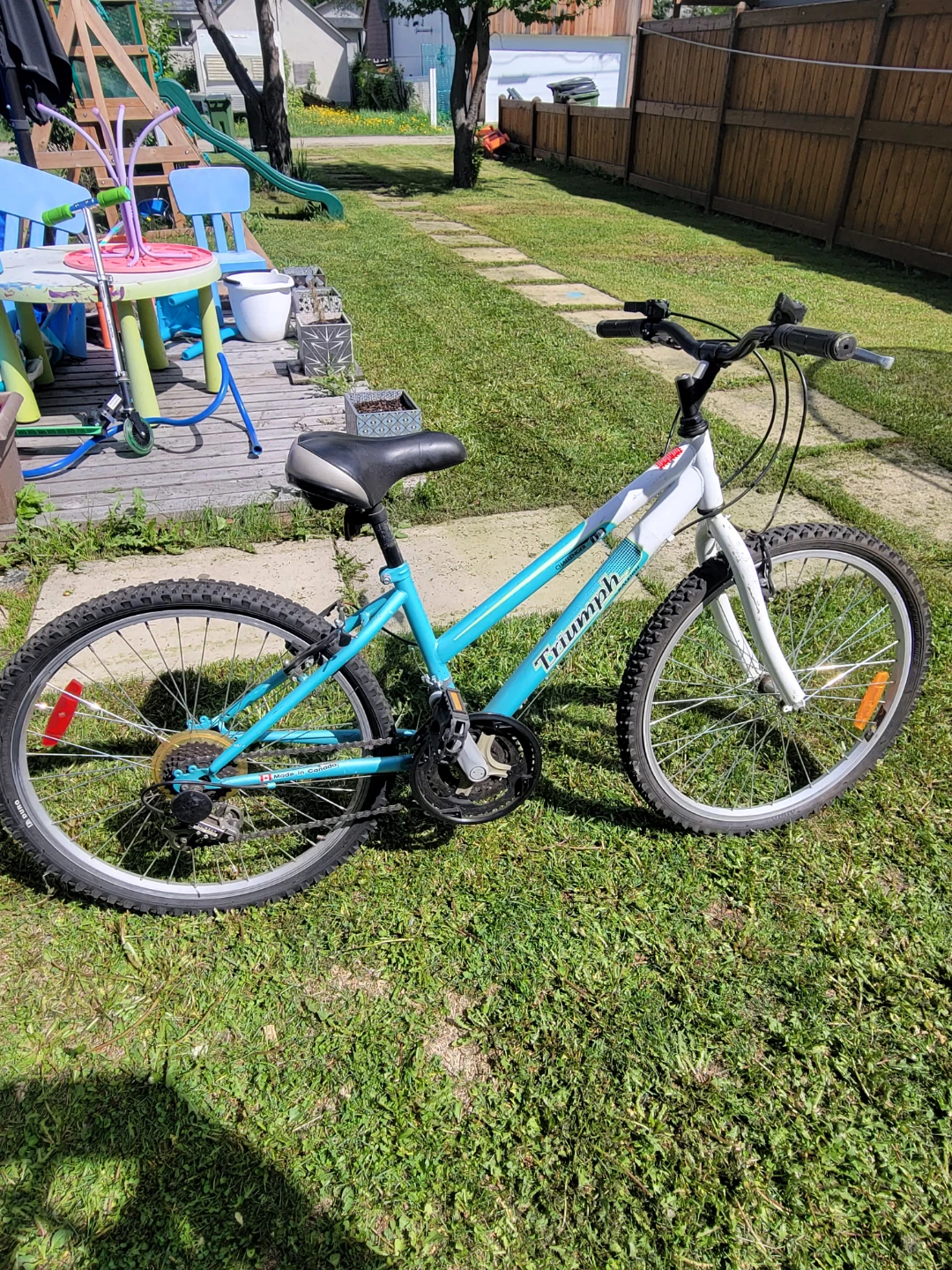 Triumph Mountain Bike - Blue/White YOUTH SIZE