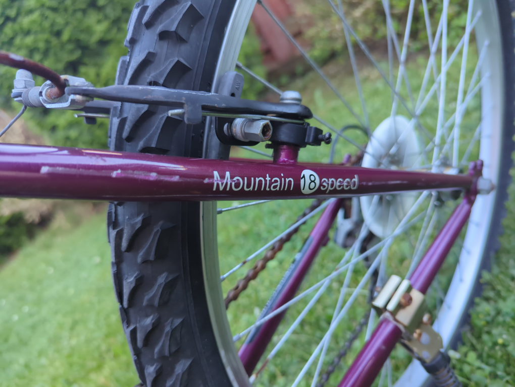 Nakamura "Inshire 2.9" Mountain Bike
