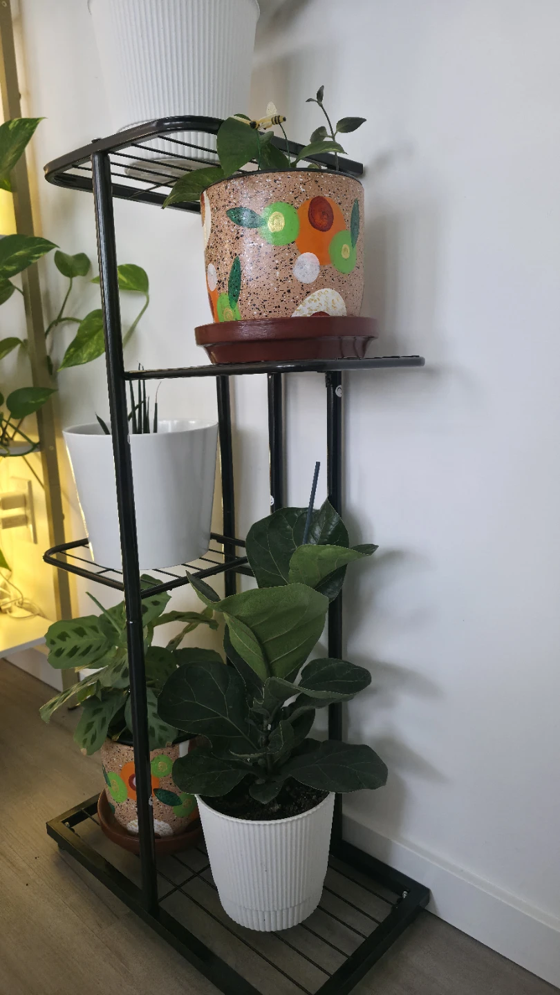 Black Metal Tiered Plant Stand