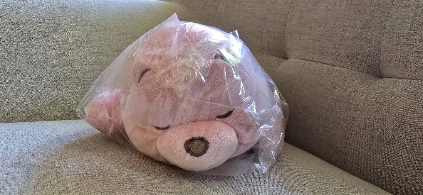 New with tag Disney Winnie the Pooh Plush Toy