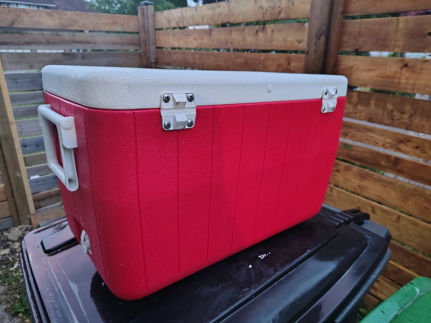 Vintage Coleman 48qt Carry Cooler with Drain - photo 2