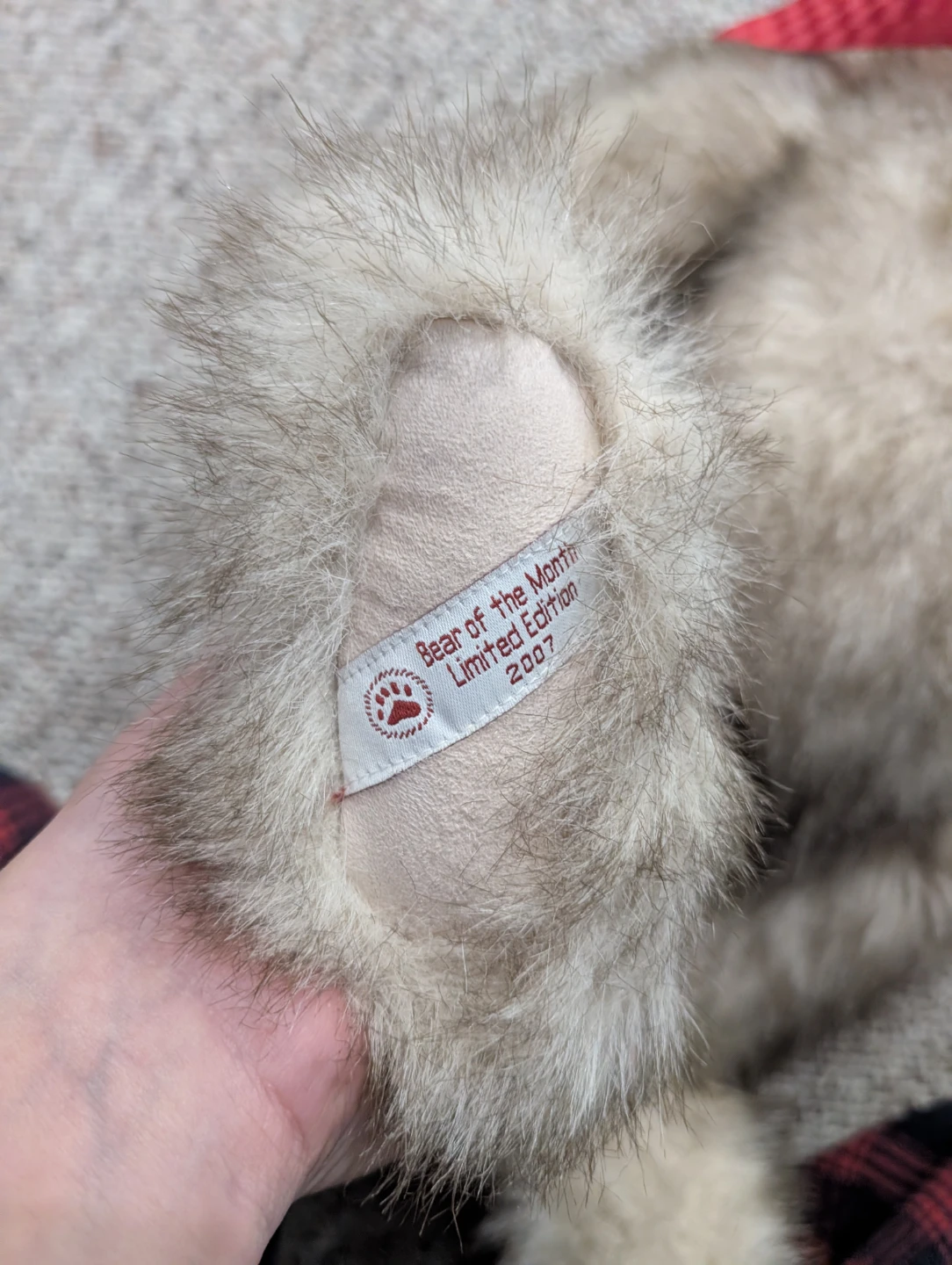 The Boyds Collection Bear of the Month Limited Edition - photo 5