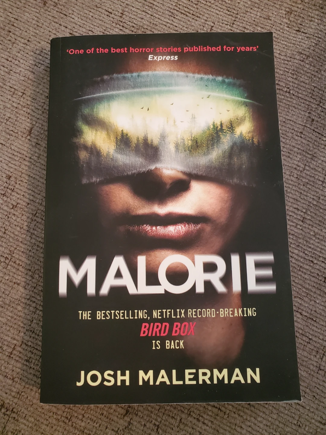 Malorie by Josh Malerman ⚽