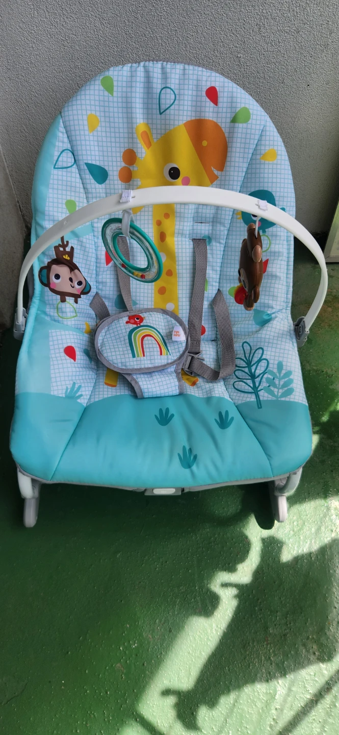 Bright Starts Wild Vibes Infant to Toddler Rocker