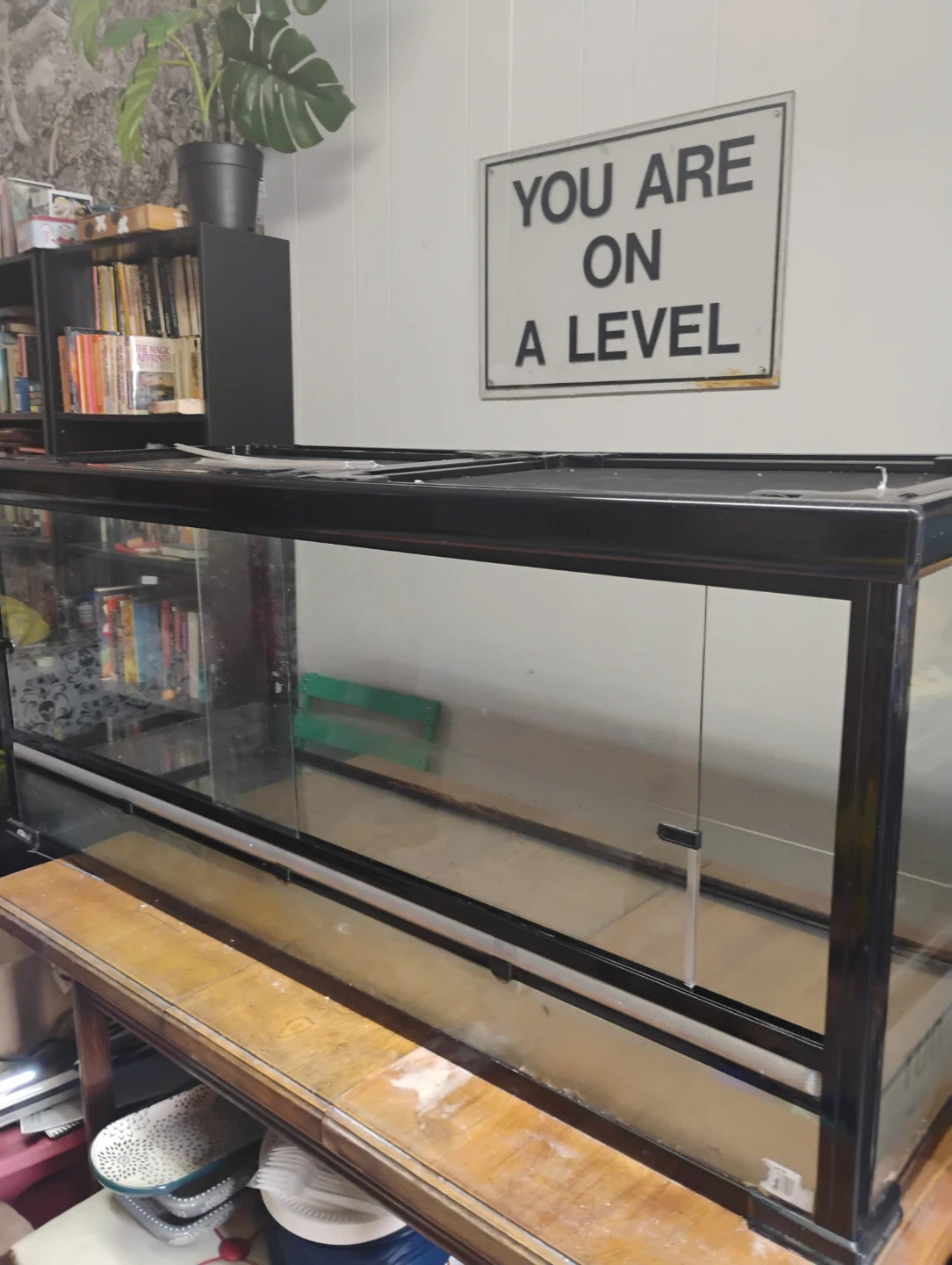 Large Glass Terrarium for reptiles