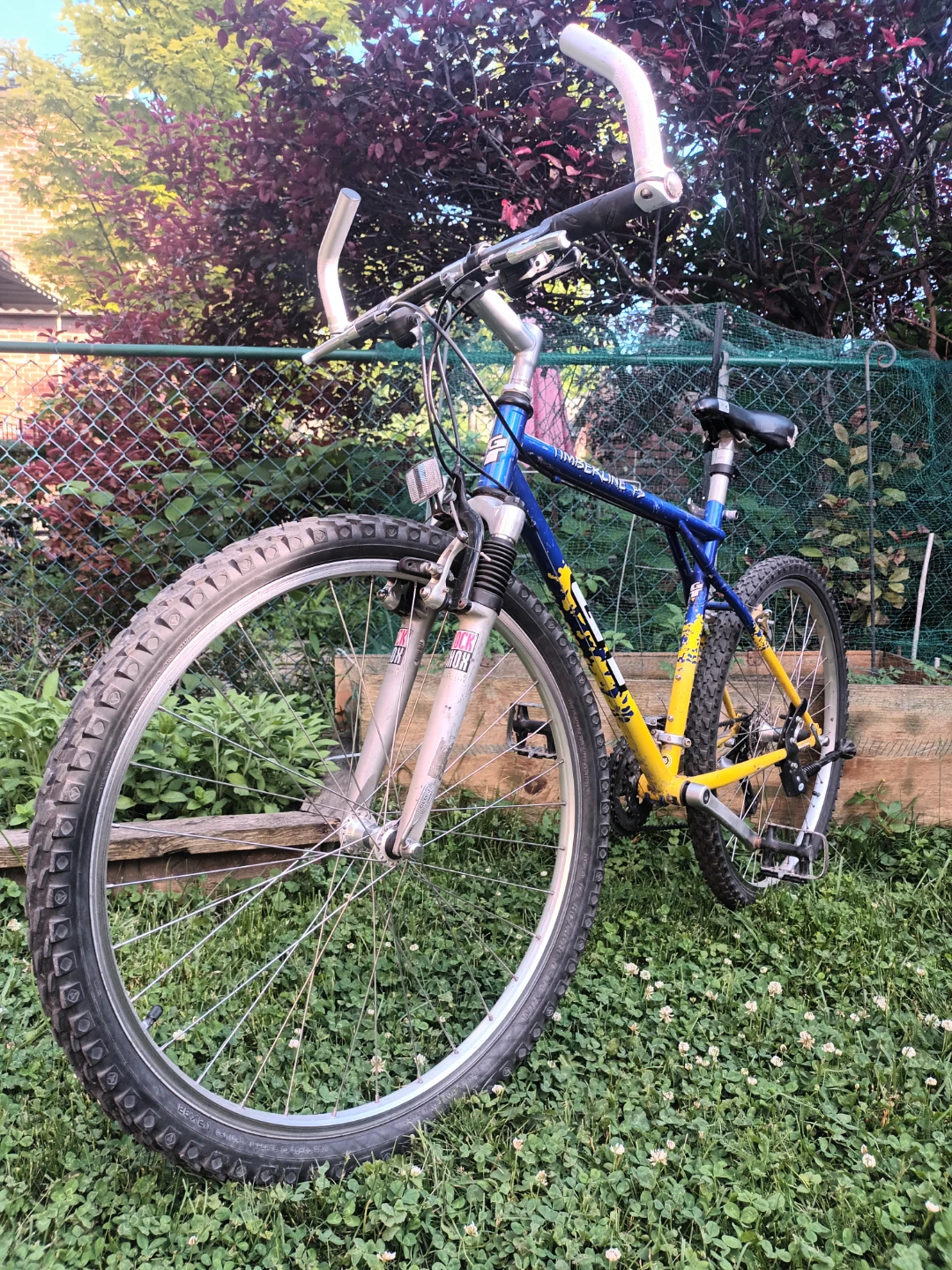 GT Bike