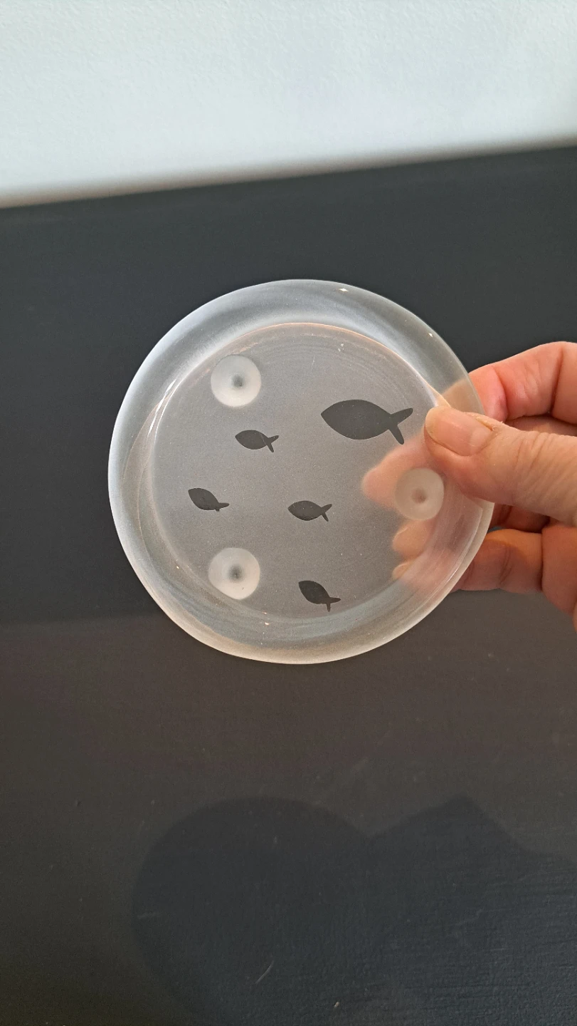 Set of 4 Clear Glass Coasters with Fish Design - photo 2